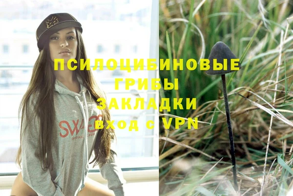 ПСИЛОЦИБИНОВЫЕ ГРИБЫ Балахна