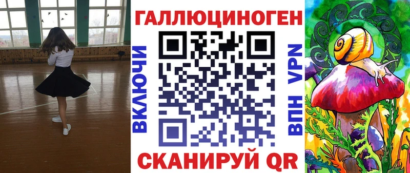 Галлюциногенные грибы Psilocybe  Курчатов 